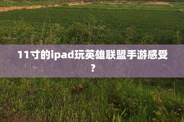 11寸的ipad玩英雄联盟手游感受？