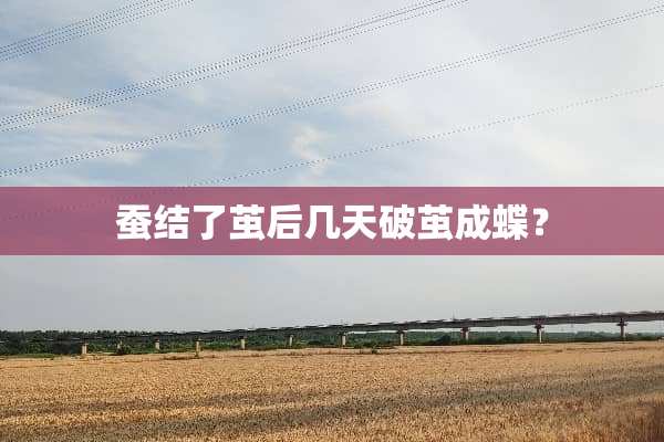 蚕结了茧后几天破茧成蝶？
