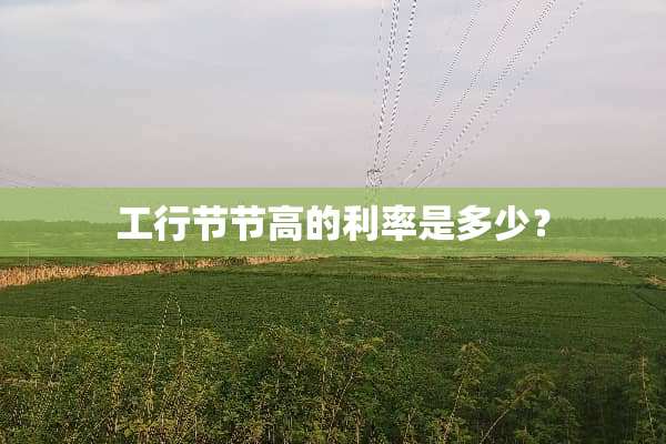 工行节节高的利率是多少？