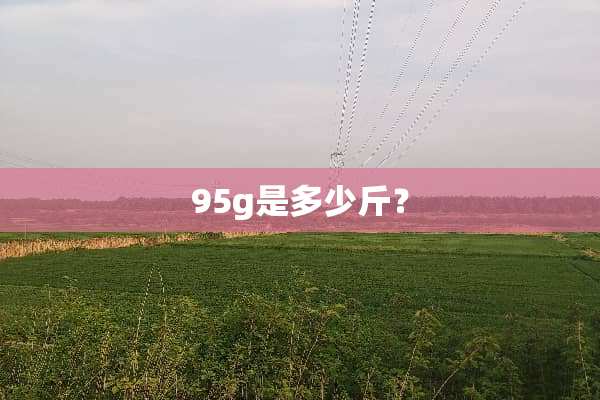 95g是多少斤？
