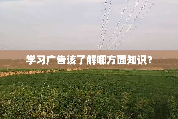 学习广告该了解哪方面知识？