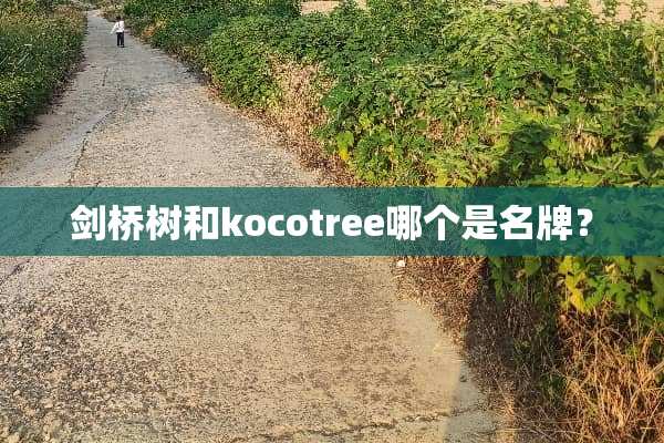 剑桥树和kocotree哪个是名牌？