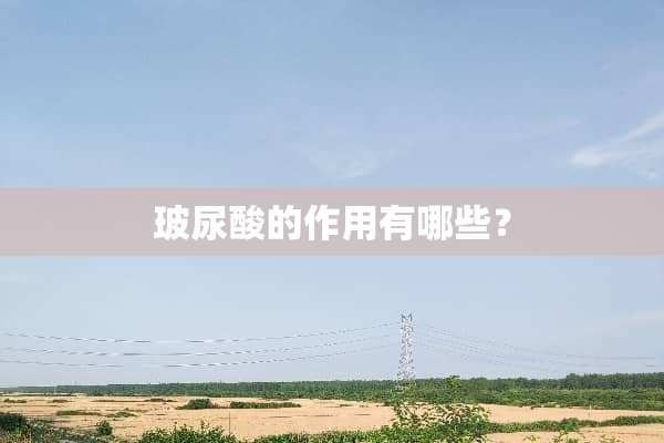 玻尿酸的作用有哪些？