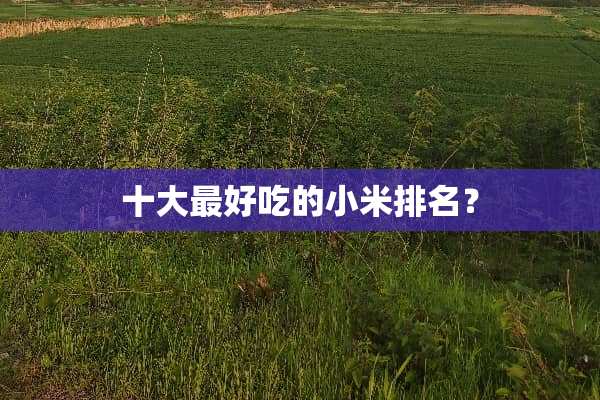 十大最好吃的小米排名？