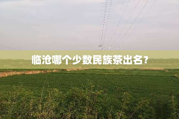 临沧哪个少数民族茶出名？