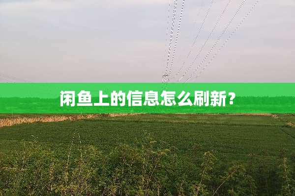 闲鱼上的信息怎么刷新？
