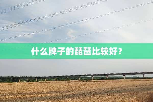 什么牌子的琵琶比较好？