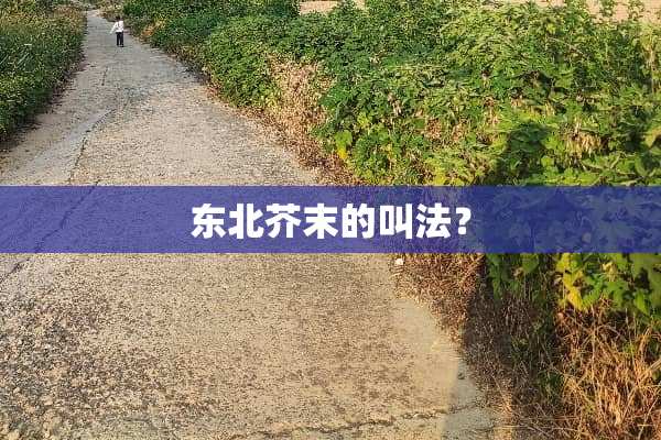 东北芥末的叫法？