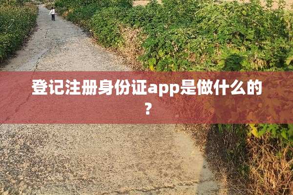 登记注册***app是做什么的？