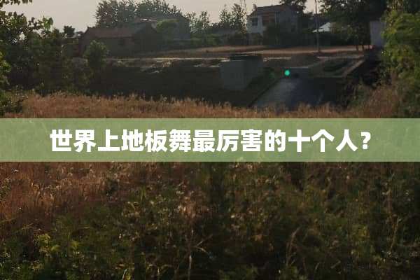 世界上地板舞最厉害的十个人？
