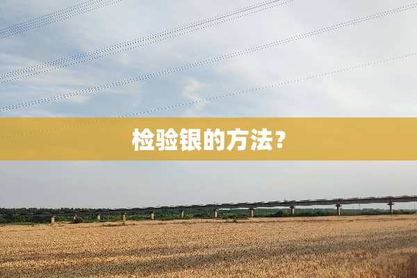 检验银的方法？