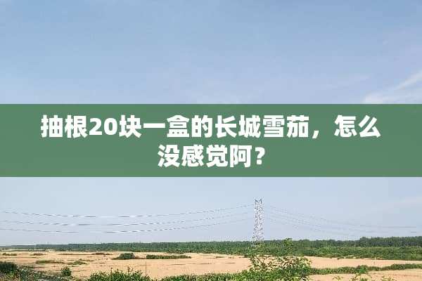 抽根20块一盒的长城雪茄，怎么没感觉阿？
