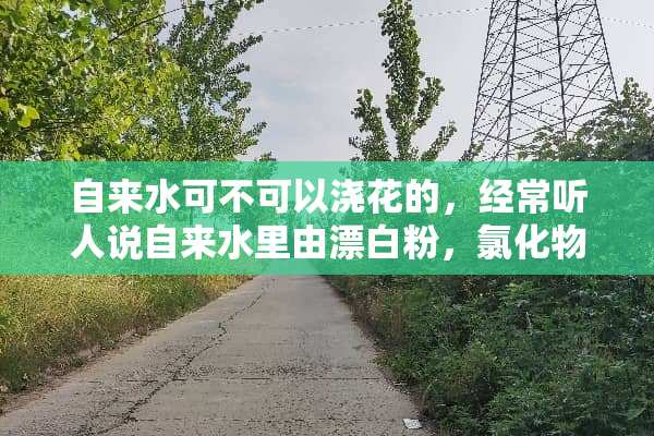 自来水可不可以浇花的，经常听人说自来水里由漂**，氯化物这是真的吗，能浇花么？