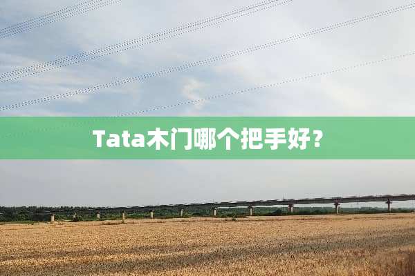 Tata木门哪个把手好？