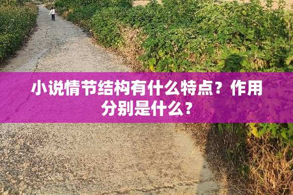 小说情节结构有什么特点？作用分别是什么？