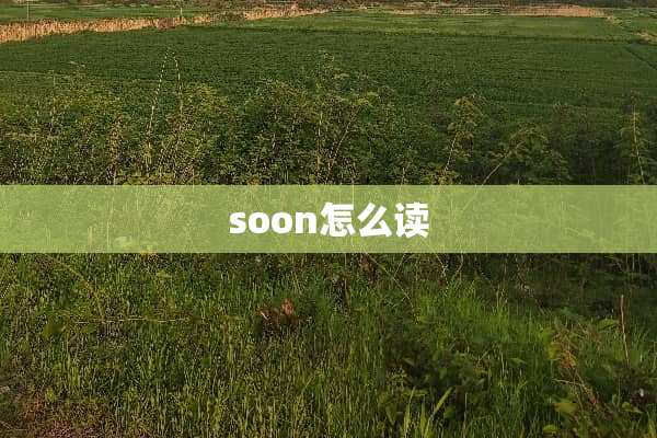 soon怎么读