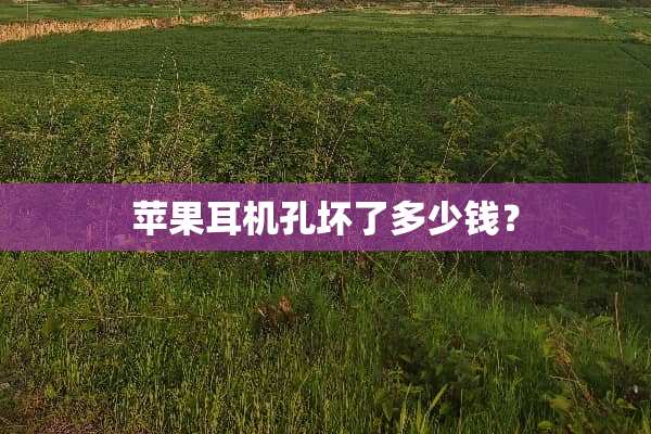 苹果耳机孔坏了多少钱？