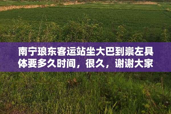 南宁琅东客运站坐大巴到崇左具体要多久时间，很久，谢谢大家？