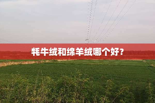牦牛绒和绵羊绒哪个好？