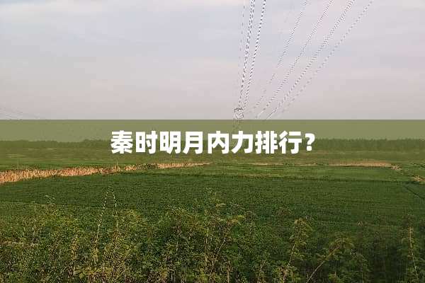 秦时明月内力排行？