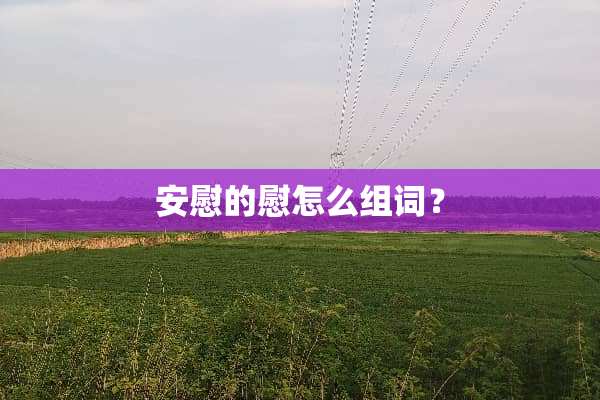安慰的慰怎么组词？