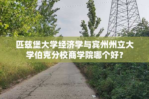 匹兹堡大学经济学与宾州州立大学伯克分校商学院哪个好？