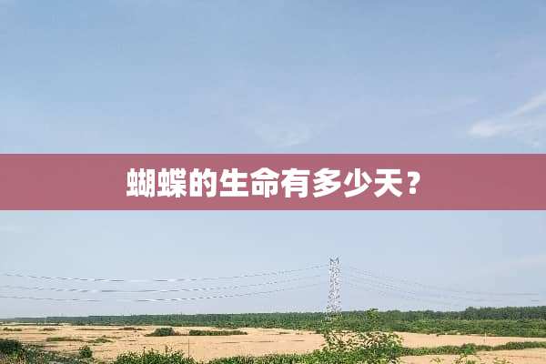 蝴蝶的生命有多少天？