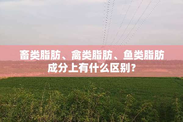 畜类脂肪、禽类脂肪、鱼类脂肪成分上有什么区别？