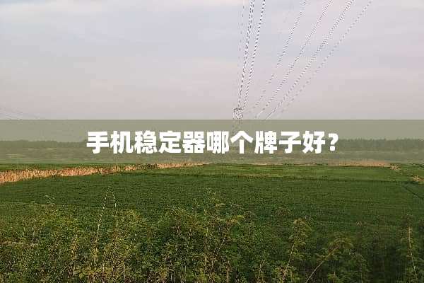手机稳定器哪个牌子好？