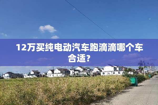12万买纯电动汽车跑滴滴哪个车合适？
