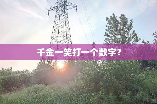 千金一笑打一个数字？