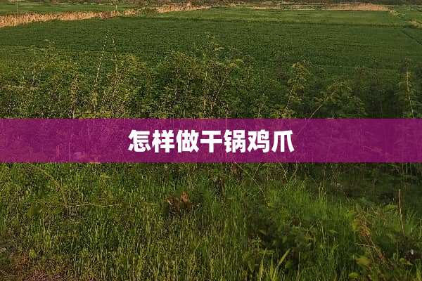 怎样做干锅鸡爪