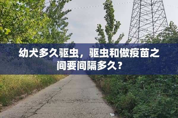 幼犬多久驱虫，驱虫和做**之间要间隔多久？