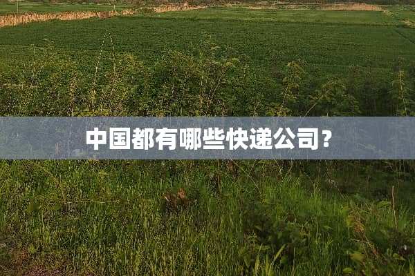 中国都有哪些快递公司？
