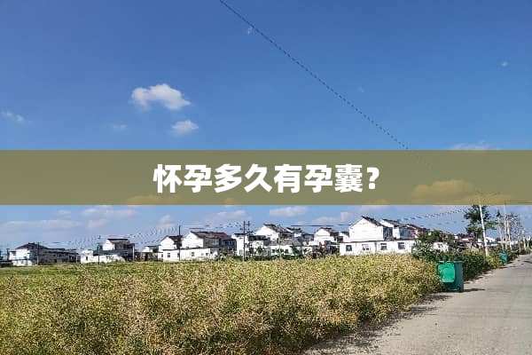 怀孕多久有孕囊？