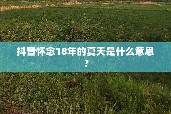 抖音怀念18年的夏天是什么意思？