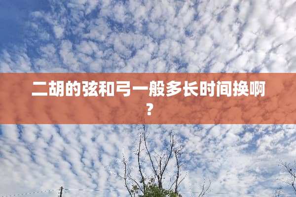 二胡的弦和弓一般多长时间换啊？