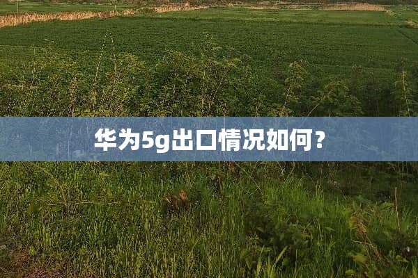 华为5g出口情况如何？
