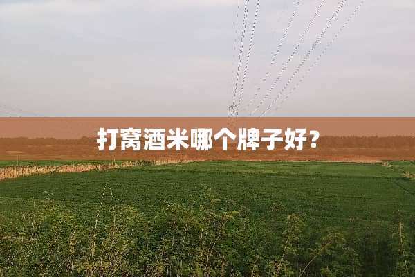 打窝酒米哪个牌子好？