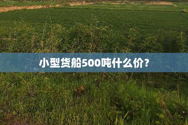 小型货船500吨什么价？