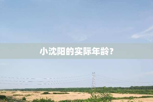 小沈阳的实际年龄？