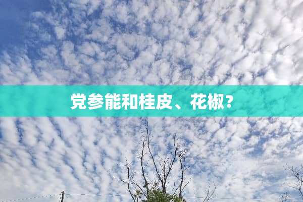 *参能和桂皮、花椒？