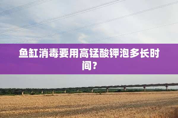 鱼缸消毒要用高锰酸钾泡多长时间？