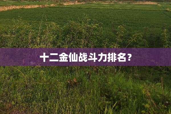 十二金仙战斗力排名？
