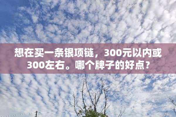想在买一条银项链，300元以内或300左右。哪个牌子的好点？