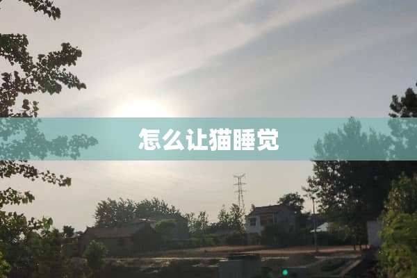 怎么让猫睡觉 怎么让猫睡觉