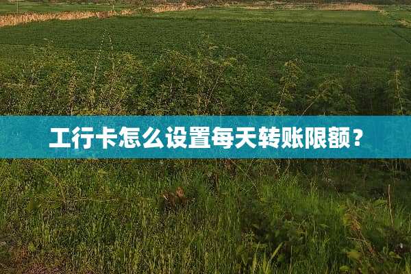 工行卡怎么设置每天转账限额？