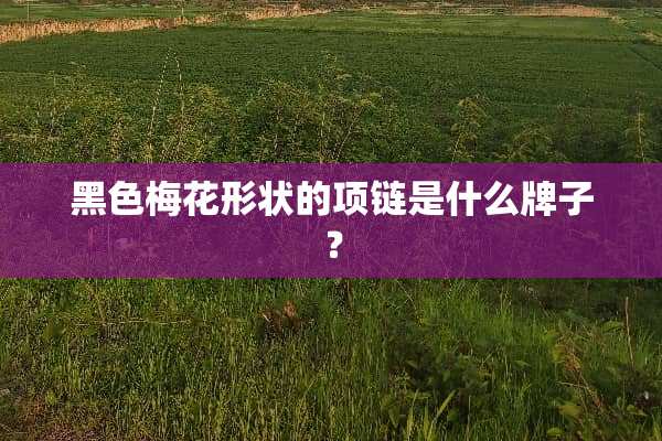 黑色梅花形状的项链是什么牌子？