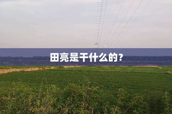 田亮是干什么的？