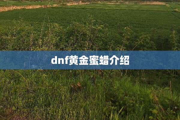 dnf黄金蜜蜡介绍